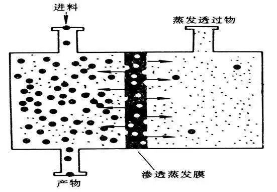 海洋之神_官方网站_活动3333