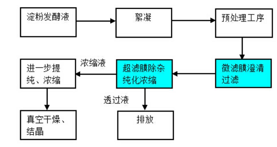 海洋之神_官方网站_image9665