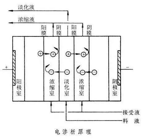 海洋之神_官方网站_产品8293