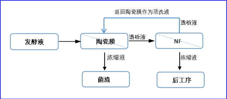 海洋之神_官方网站_image9436