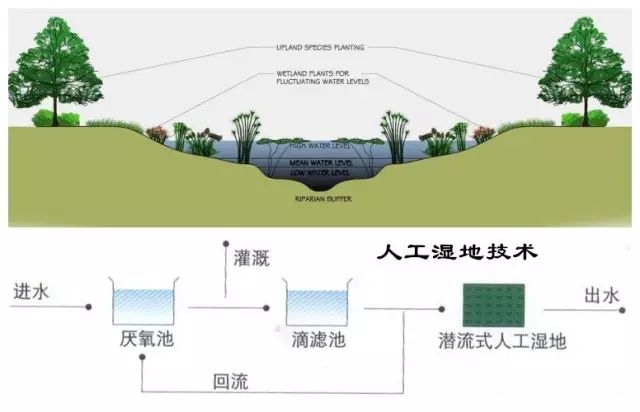 海洋之神_官方网站_项目4028