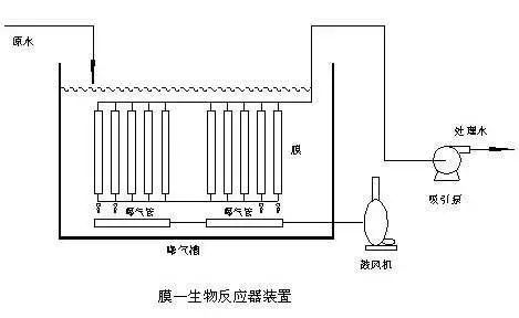 海洋之神_官方网站_项目7992