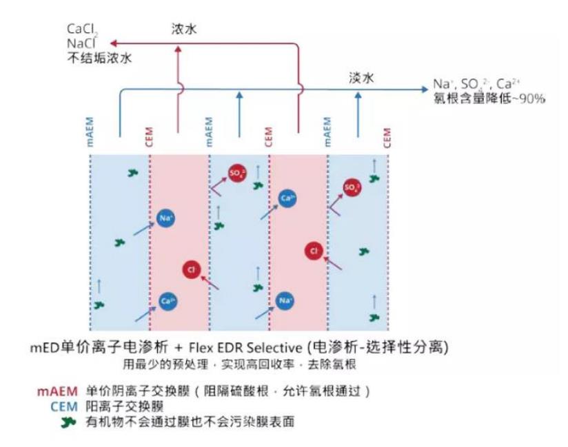 海洋之神_官方网站_image8478