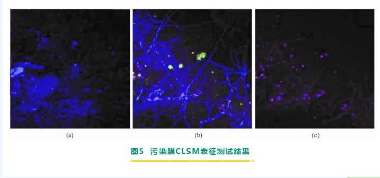 海洋之神_官方网站_活动5273